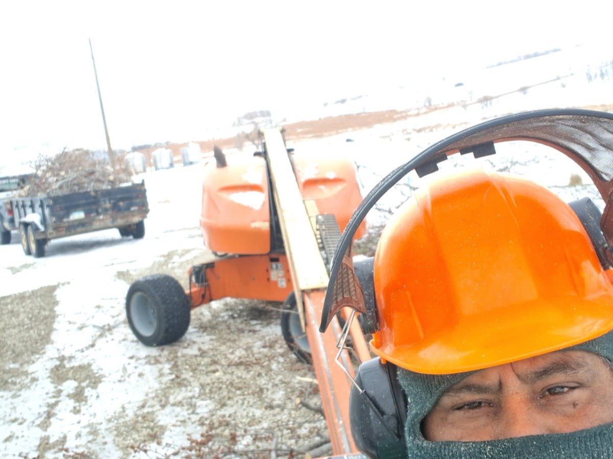 Javier Medina Tree Service LLC