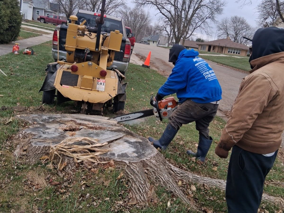 Javier Medina Tree Service LLC